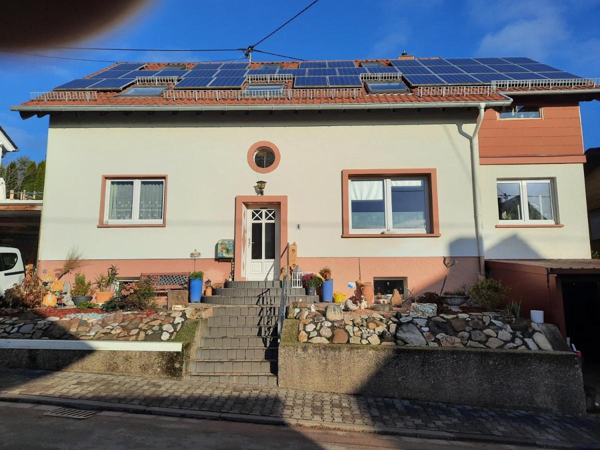 Ferienwohnung Friedel Und Kaethe Oberthal Extérieur photo